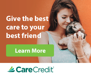 We accept the CareCredit credit card. Learn More!