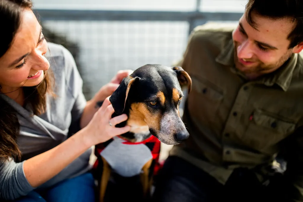 A dog being petted by a woman while a man smiles on the right.
