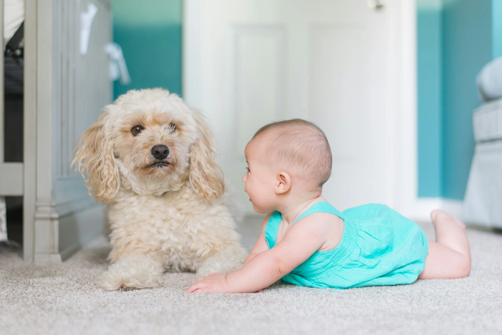 A light-brown dog lies next to a baby in a turquoise outfit.